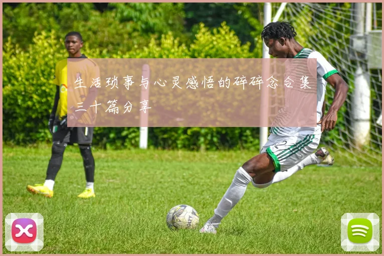 生活琐事与心灵感悟的碎碎念合集三十篇分享