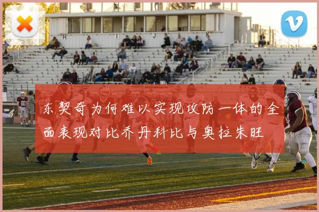 东契奇为何难以实现攻防一体的全面表现对比乔丹科比与奥拉朱旺